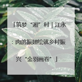 筑梦“湘”村｜江永：肉鸽振翅绘就乡村振兴“金羽画卷”