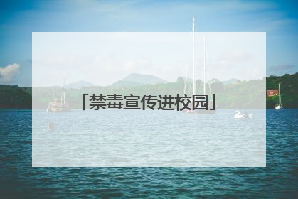 禁毒宣传进校园