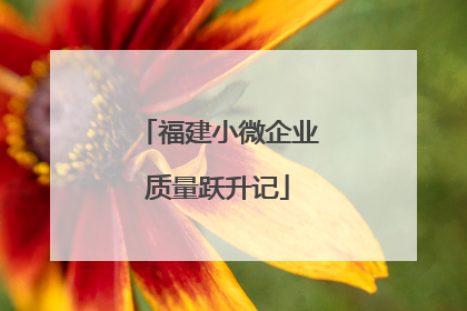 福建小微企业质量跃升记