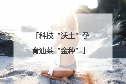 科技“沃土”孕育油菜“金种”