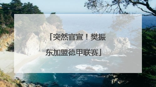 突然官宣！樊振东加盟德甲联赛