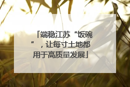 端稳江苏“饭碗”，让每寸土地都用于高质量发展