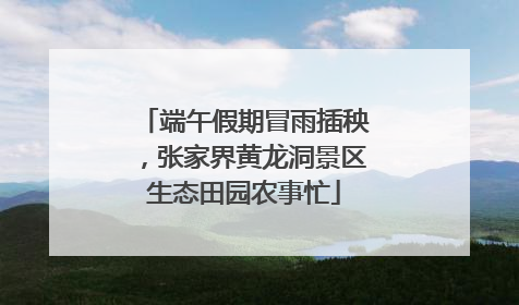 端午假期冒雨插秧，张家界黄龙洞景区生态田园农事忙