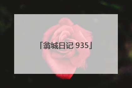 翁城日记 935