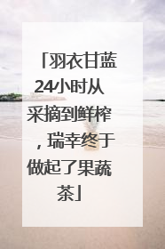 羽衣甘蓝24小时从采摘到鲜榨，瑞幸终于做起了果蔬茶
