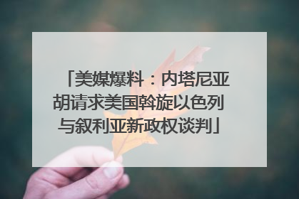 美媒爆料：内塔尼亚胡请求美国斡旋以色列与叙利亚新政权谈判