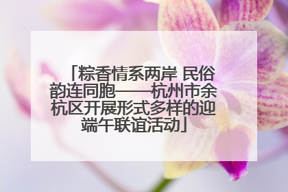 粽香情系两岸 民俗韵连同胞——杭州市余杭区开展形式多样的迎端午联谊活动