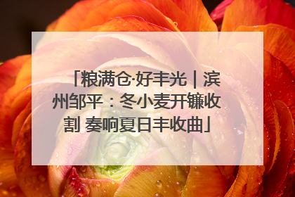 粮满仓·好丰光｜滨州邹平：冬小麦开镰收割 奏响夏日丰收曲