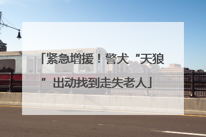 紧急增援！警犬“天狼”出动找到走失老人