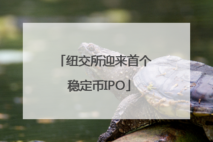纽交所迎来首个稳定币IPO