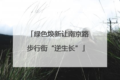 绿色焕新让南京路步行街“逆生长”