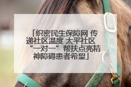 织密民生保障网 传递社区温度 太平社区“一对一”帮扶点亮精神障碍患者希望