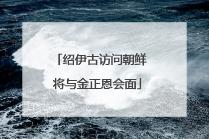 绍伊古访问朝鲜 将与金正恩会面