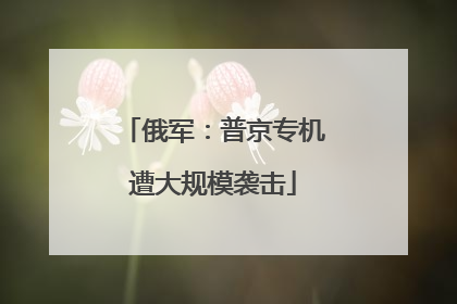 俄军：普京专机遭大规模袭击