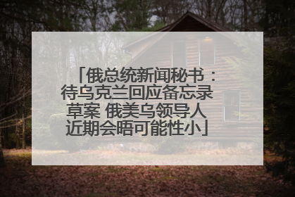 俄总统新闻秘书：待乌克兰回应备忘录草案 俄美乌领导人近期会晤可能性小