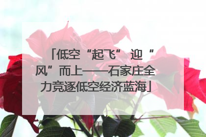 低空“起飞” 迎“风”而上——石家庄全力竞逐低空经济蓝海