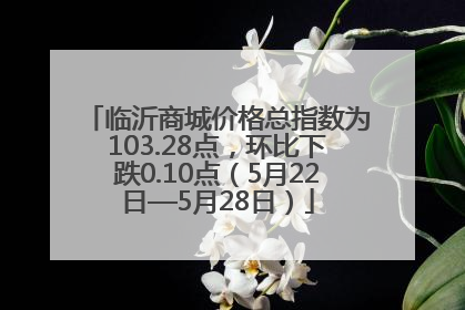 临沂商城价格总指数为103.28点，环比下跌0.10点（5月22日—5月28日）