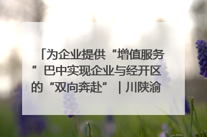 为企业提供“增值服务”巴中实现企业与经开区的“双向奔赴”｜川陕渝网络名人巴中行