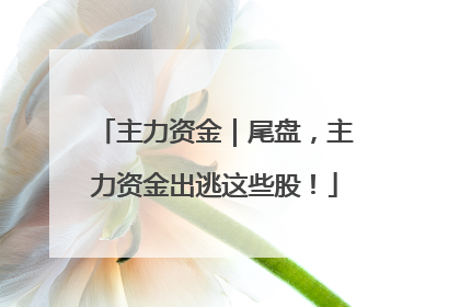 主力资金｜尾盘，主力资金出逃这些股！