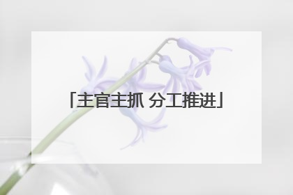 主官主抓 分工推进