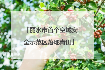 丽水市首个空域安全示范区落地青田