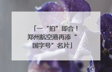 一“拍”即合！郑州航空港再添“国字号”名片