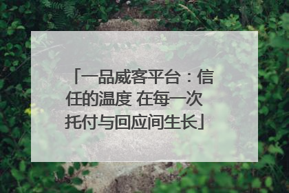 一品威客平台：信任的温度 在每一次托付与回应间生长