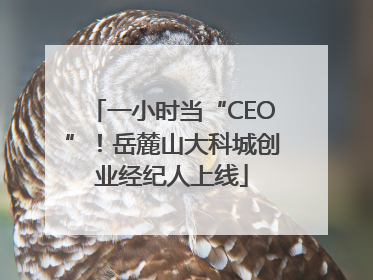 一小时当“CEO”！岳麓山大科城创业经纪人上线