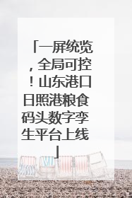 一屏统览，全局可控！山东港口日照港粮食码头数字孪生平台上线
