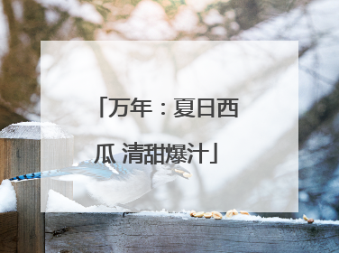 万年：夏日西瓜 清甜爆汁