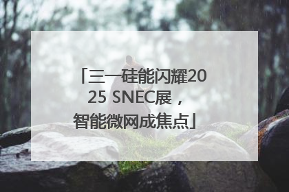 三一硅能闪耀2025 SNEC展，智能微网成焦点