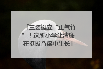 三姿挺立“正气竹”！这所小学让清廉在挺拔脊梁中生长