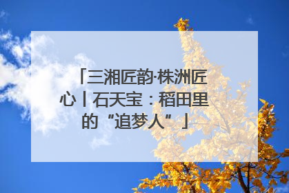 三湘匠韵·株洲匠心丨石天宝：稻田里的“追梦人”