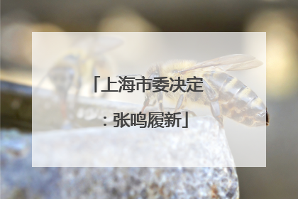 上海市委决定：张鸣履新
