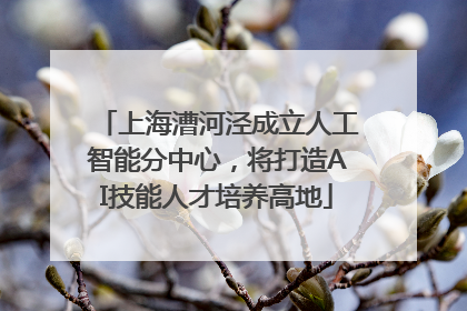 上海漕河泾成立人工智能分中心，将打造AI技能人才培养高地