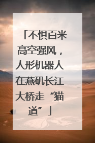 不惧百米高空强风，人形机器人在燕矶长江大桥走“猫道”