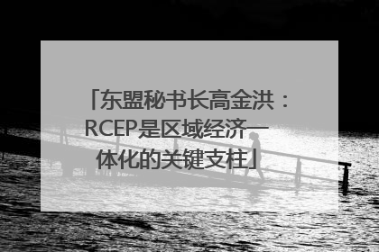 东盟秘书长高金洪：RCEP是区域经济一体化的关键支柱