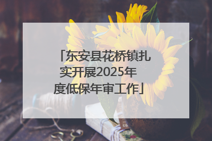 东安县花桥镇扎实开展2025年度低保年审工作