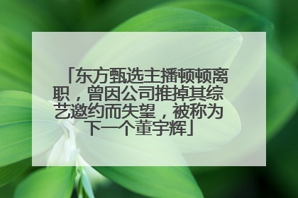 东方甄选主播顿顿离职，曾因公司推掉其综艺邀约而失望，被称为下一个董宇辉