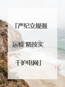 严纪立规强运检 精技实干护电网