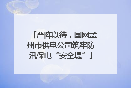 严阵以待，国网孟州市供电公司筑牢防汛保电“安全堤”