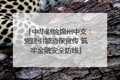 中华财险锦州中支：党建引领消保宣传 筑牢金融安全防线