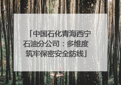 中国石化青海西宁石油分公司：多维度筑牢保密安全防线
