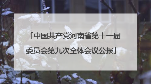 中国共产党河南省第十一届委员会第九次全体会议公报
