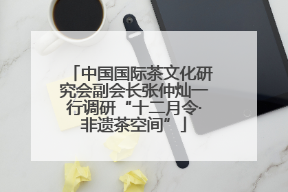 中国国际茶文化研究会副会长张仲灿一行调研“十二月令·非遗茶空间”