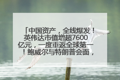 中国资产，全线爆发！英伟达市值增超7600亿元，一度重返全球第一！鲍威尔与特朗普会面，他们聊了什么？