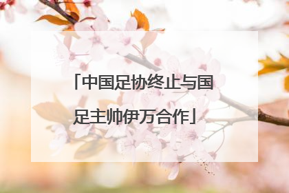 中国足协终止与国足主帅伊万合作