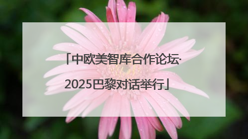 中欧美智库合作论坛·2025巴黎对话举行