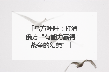乌方呼吁：打消俄方“有能力赢得战争的幻想”