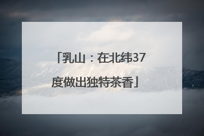 乳山：在北纬37度做出独特茶香